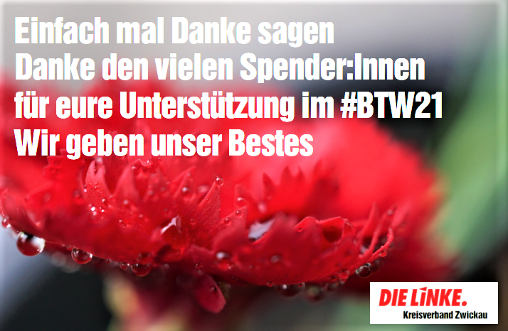 Ein Sharepic mit roter Nelke und Danksagung für die Spenden zur Bundestagswahl
